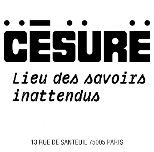 Césure, lieu des savoirs inattendus