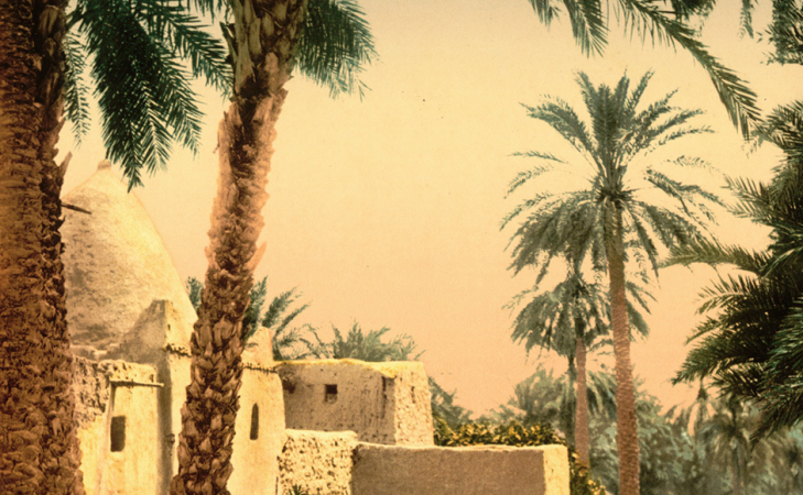 visuel biskra