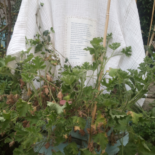 Détail du Poéco et d'un habit poétique de l'auteur à l'occasion de son évênement "Les 6 sens en action", Césure, 29.3.2025  © Ingrid Ernst